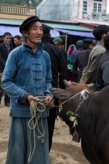 Ha Giang - Cattle dealer