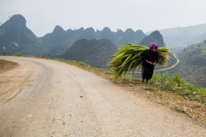 Ha Giang - Ha Giang province roads