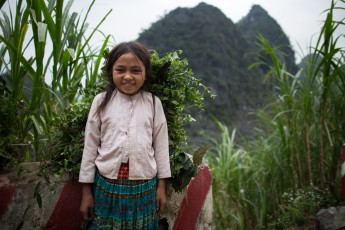 Ha Giang - Young Hmong carrying grass