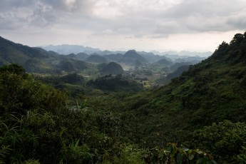 Ha Giang jungle