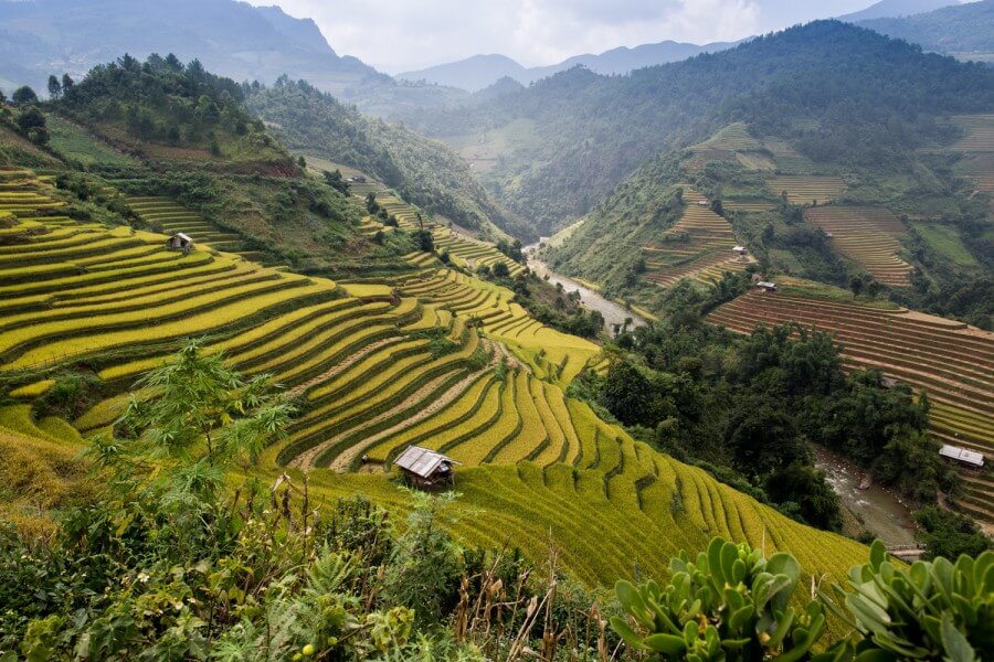 Mu Cang Chai rice terrace landscape Mu Cang Chai rice terrace landscape