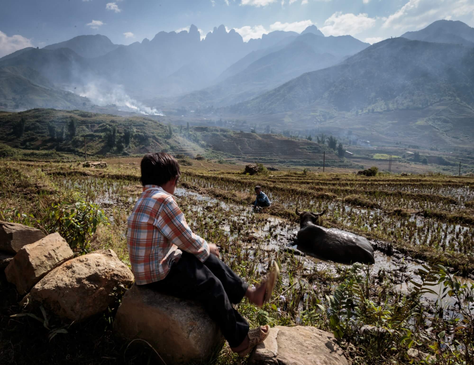 Vietnamese child watching buffaloes on mountainous background landscape