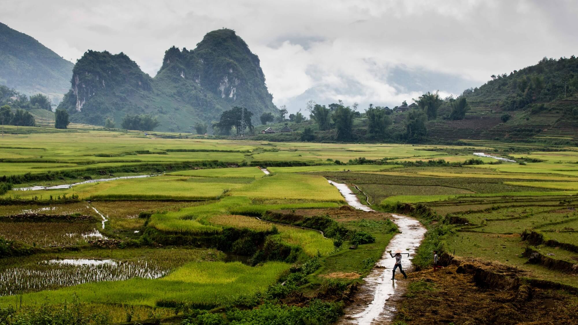 North Vietnam mountain valley landscape with rice worker North Vietnam mountain valley landscape with rice worker