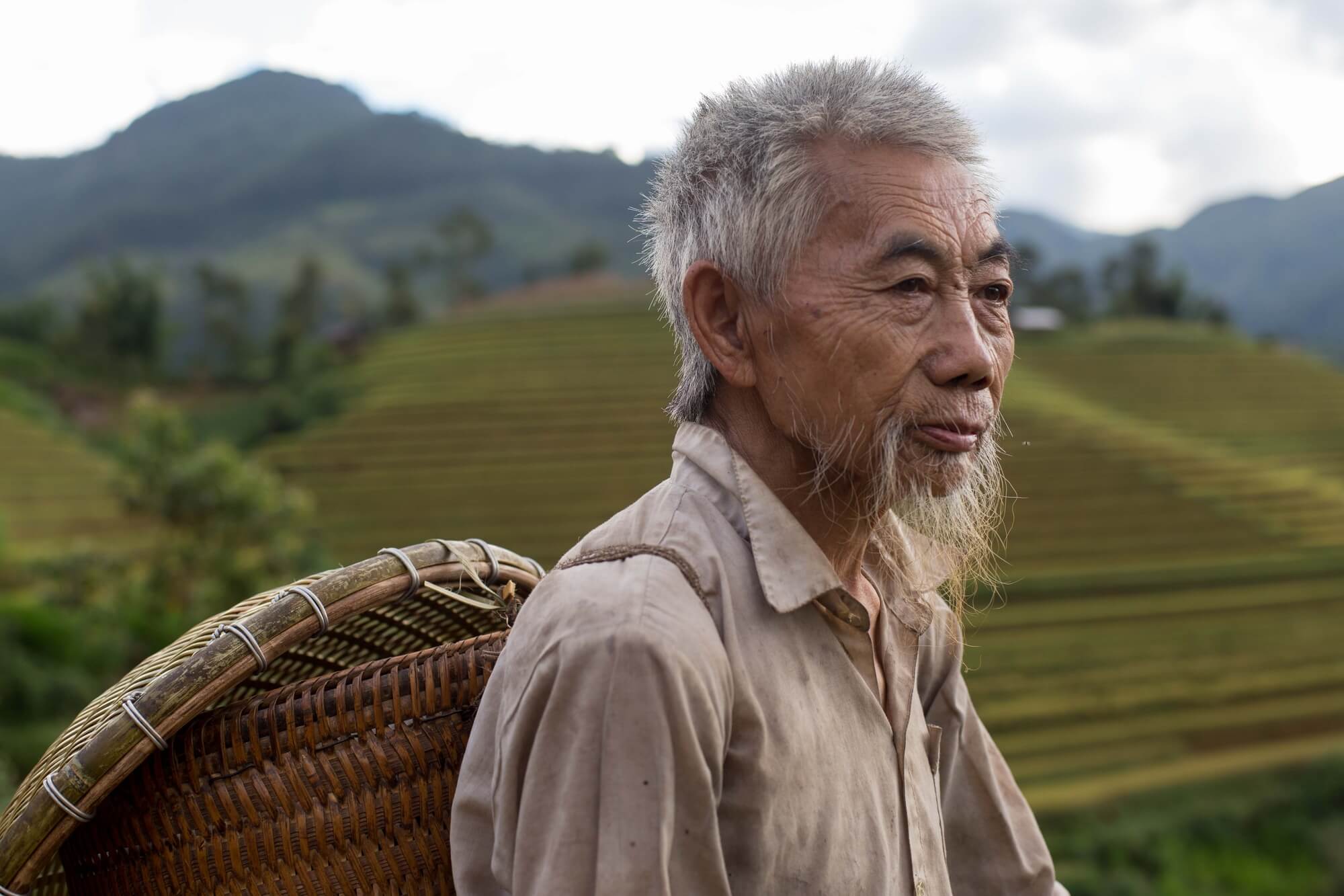 Vietnam Minority man in ricefield looking at distance