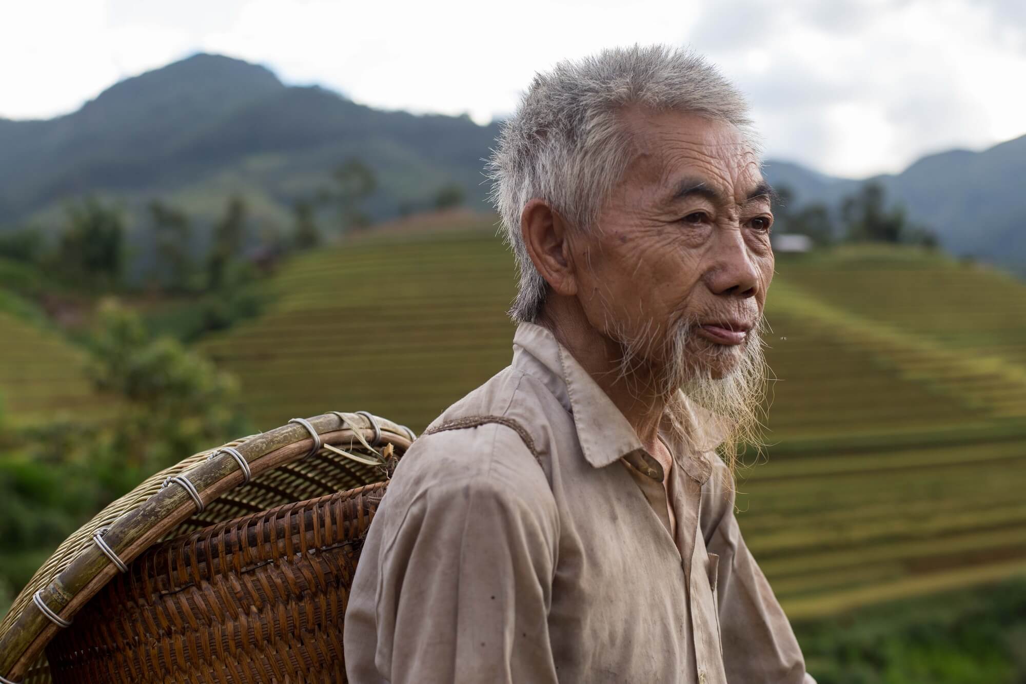Vietnam Minority man in ricefield looking at distance Vietnam Minority man in ricefield looking at distance