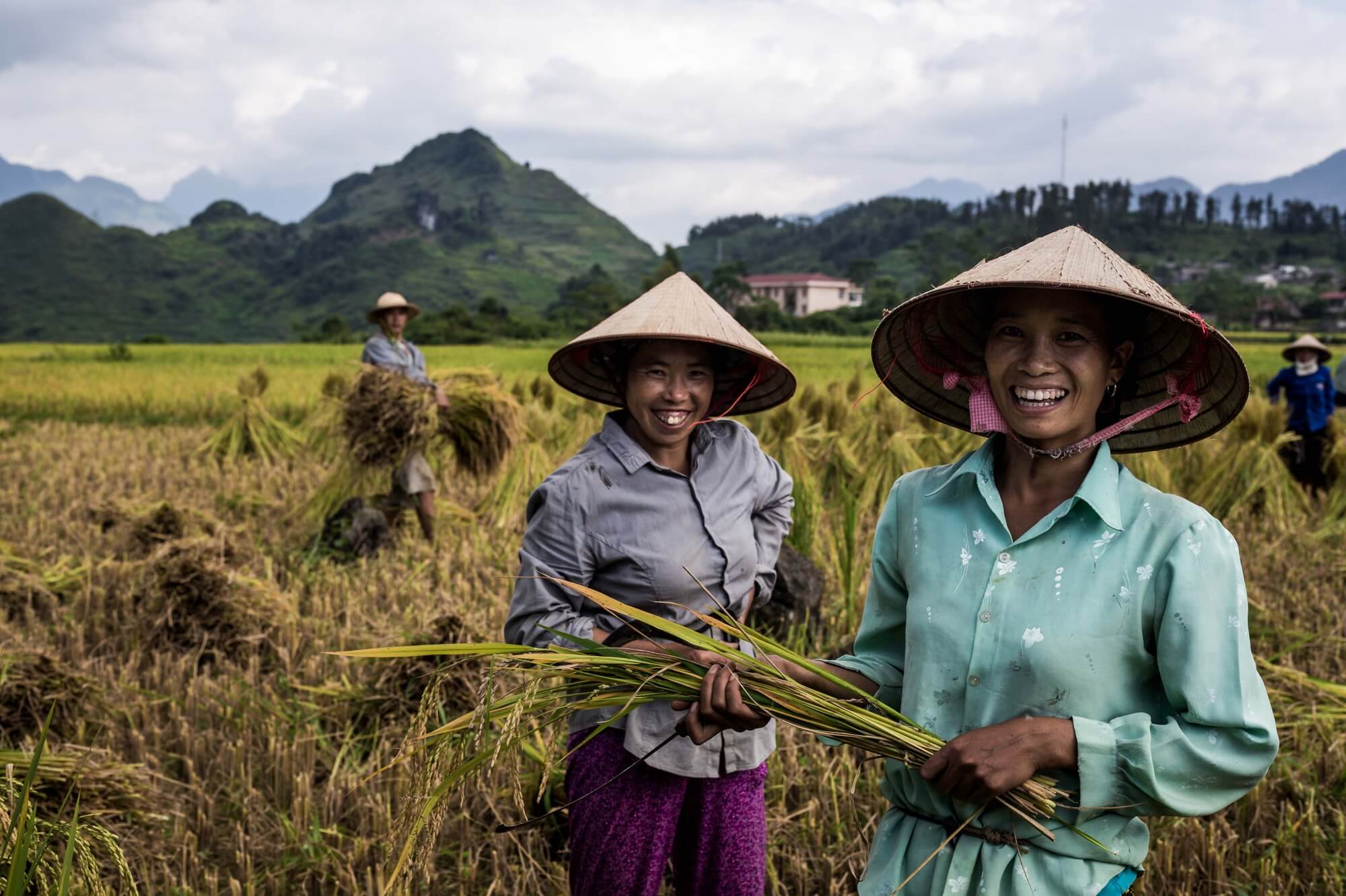 North Vietnamese rice workers portrait in Quan Ba