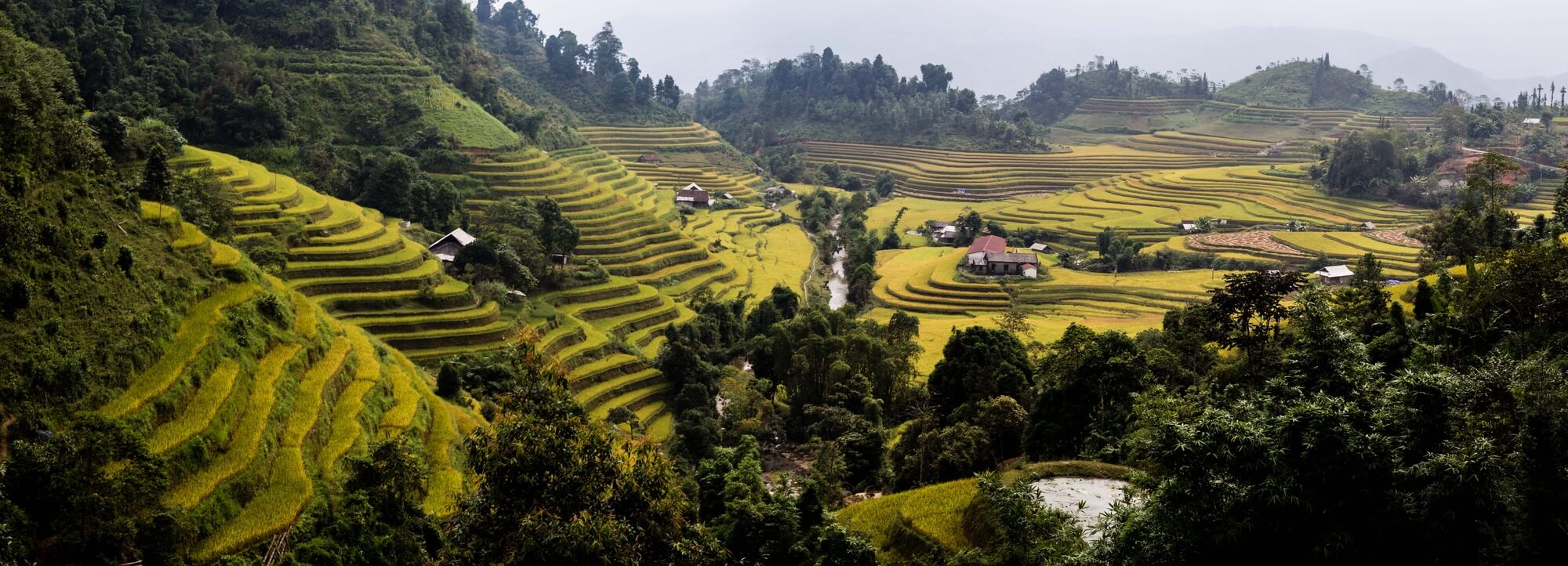 Hoang Su Phi panoramic landscape of houses in rice terraces Hoang Su Phi panoramic landscape of houses in rice terraces