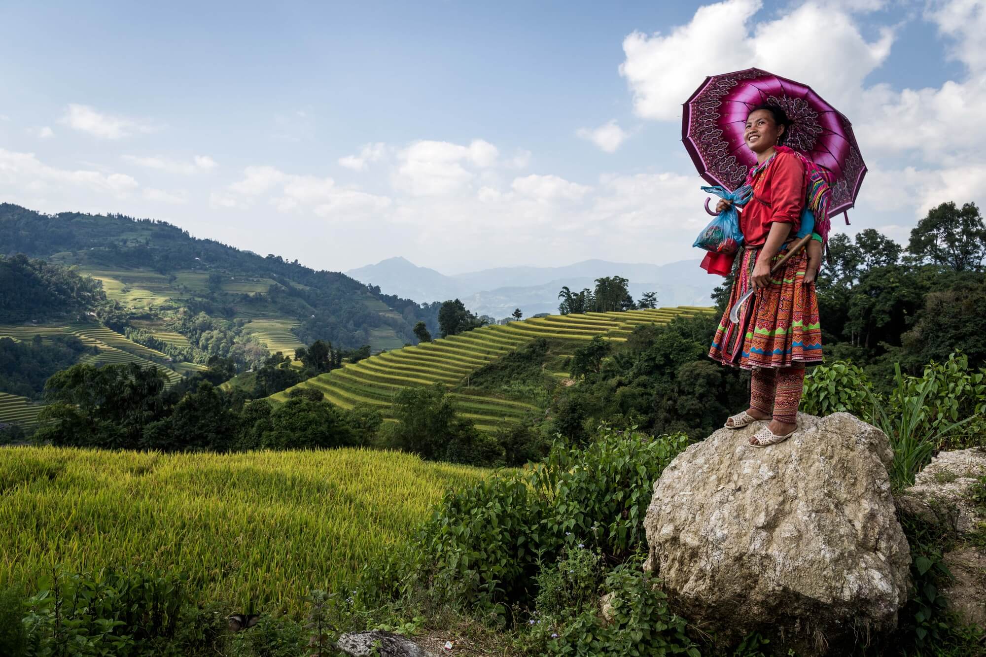 Vietnamese Minority with colorful umbrella and outfit on a rock over viewing the rice fields