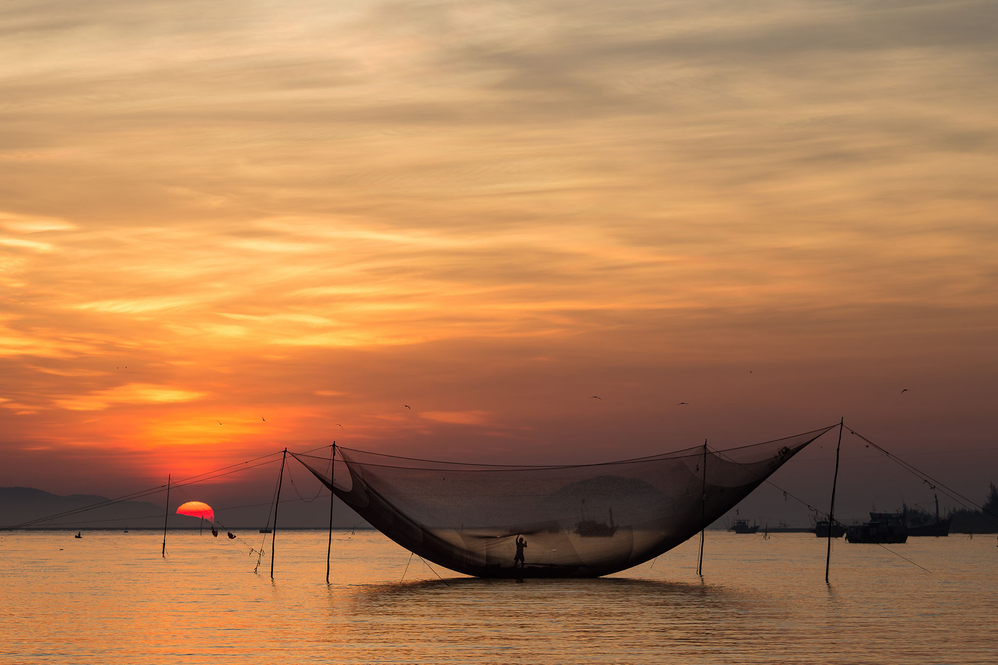 Fisherman dropping the fish from his square fishing net at the sunrise.
