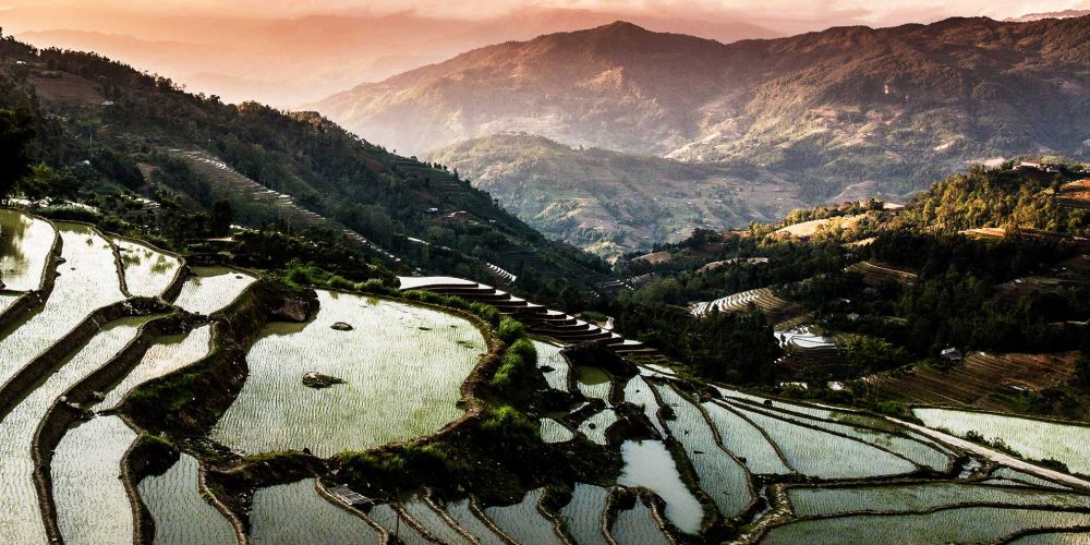 Hoang Su Phi rice terraces in the transplanting season