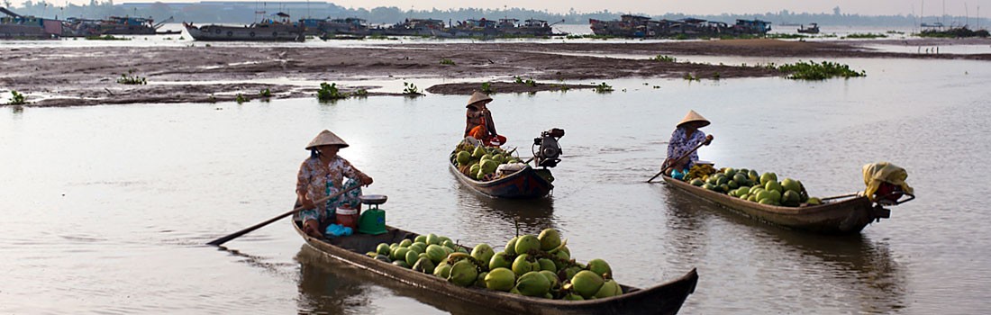 Coconuts vendors